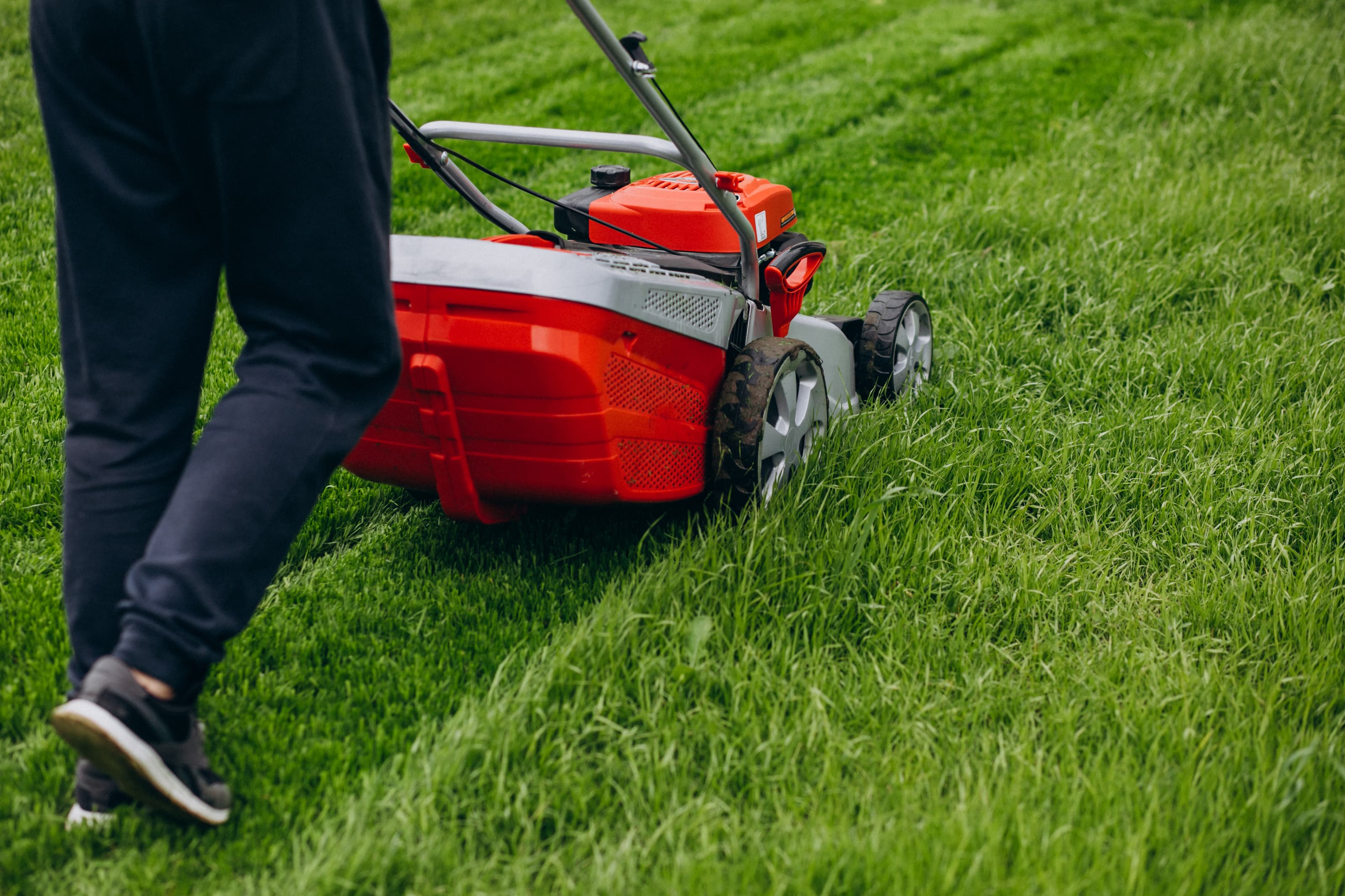 Lawncare and Maintenance